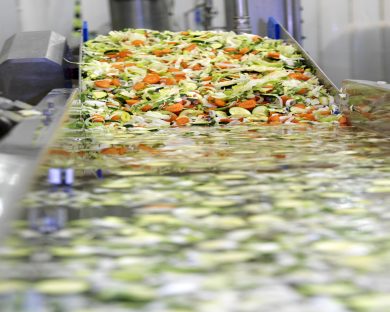 Linea Verde, the Salad is Served