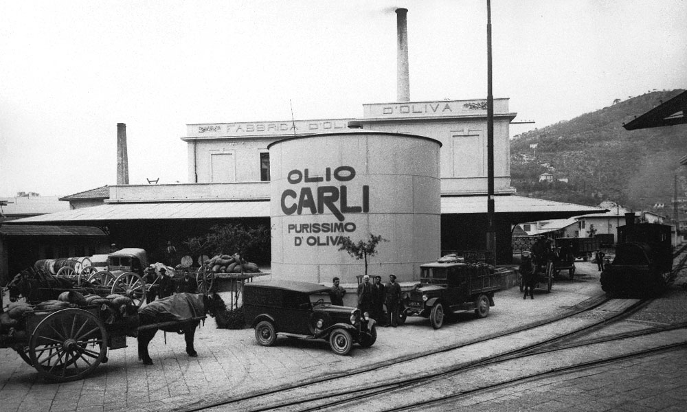 Carli, delivering success Carli, delivering success