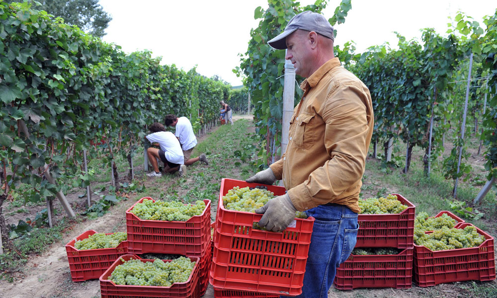 The prosecco worth a spot