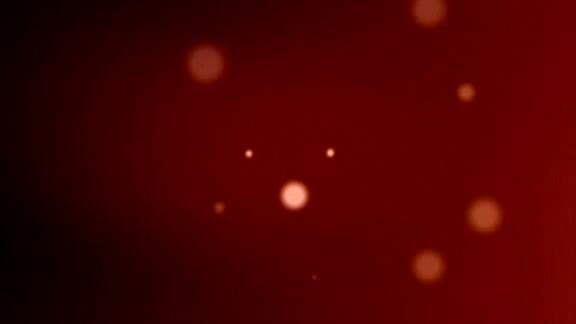 Australia: auto piomba in negozio ed investe carrozzina. Bimbo salvo per miracolo Australia: auto piomba in negozio ed investe carrozzina. Bimbo salvo per miracolo