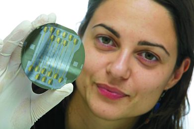 Study (and do business) in the US free