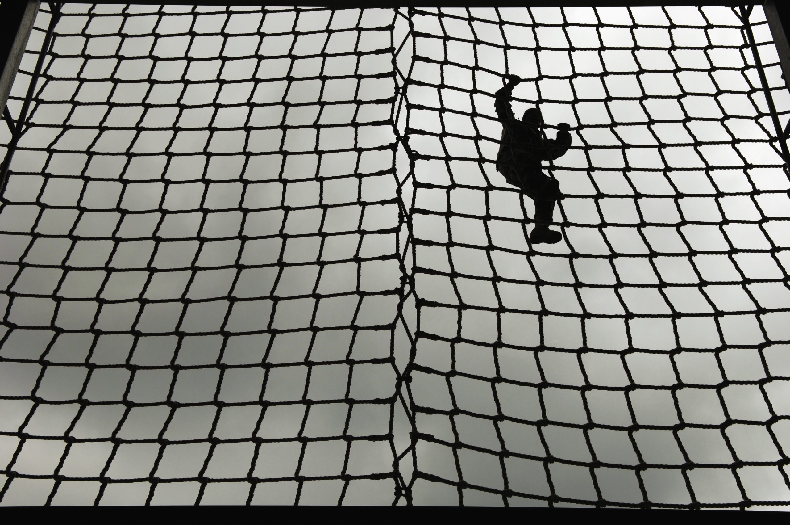 Caught in the web