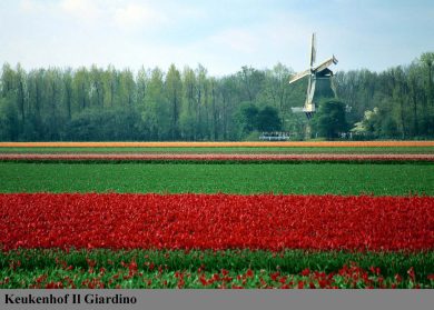 Olanda, è già Grecia – contagio