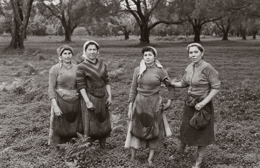 Olive e Bulloni, a Parigi l’omaggio ad Ando Gilardi Olive e Bulloni, a Parigi l’omaggio ad Ando Gilardi