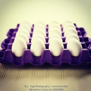 La nevrosi dell’uovo – Un post proteico