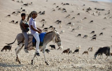 Le foto più belle della settimana – 21/27 luglio