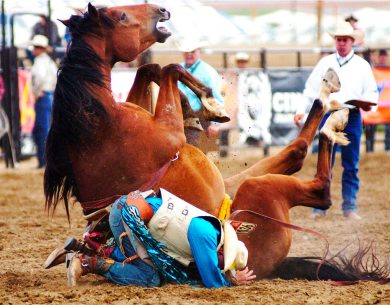 Il rodeo più famoso del mondo e altre foto