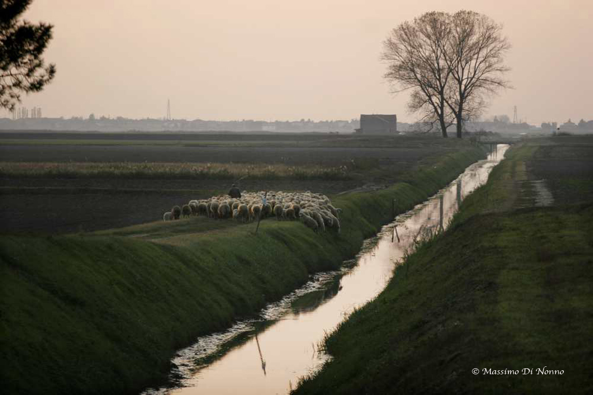 Around Gallery, la prima galleria di foto itinerante