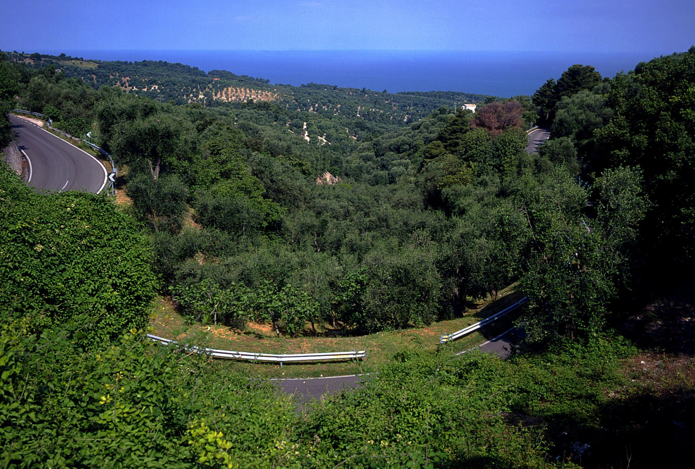 Dall’Europa 17miliardi: per i boschi Dall’Europa 17miliardi: per i boschi
