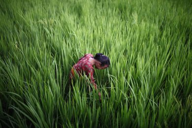 Le foto più belle della settimana – 25/31 agosto