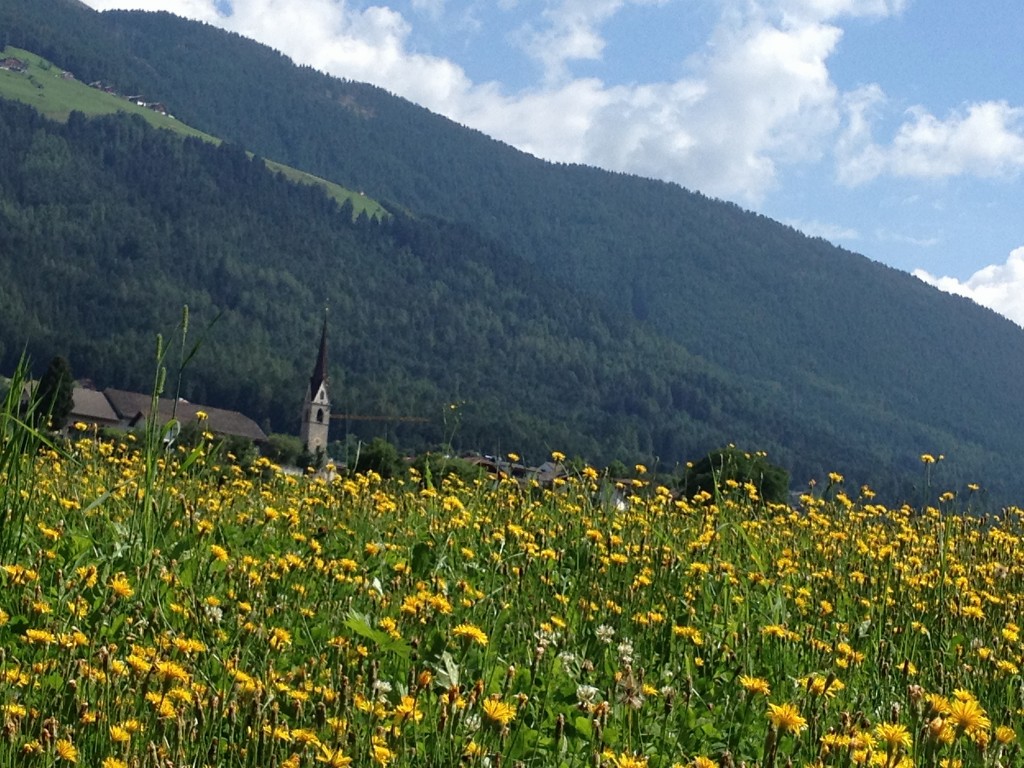 Riflessioni (sul lavoro) dalle vacanze
