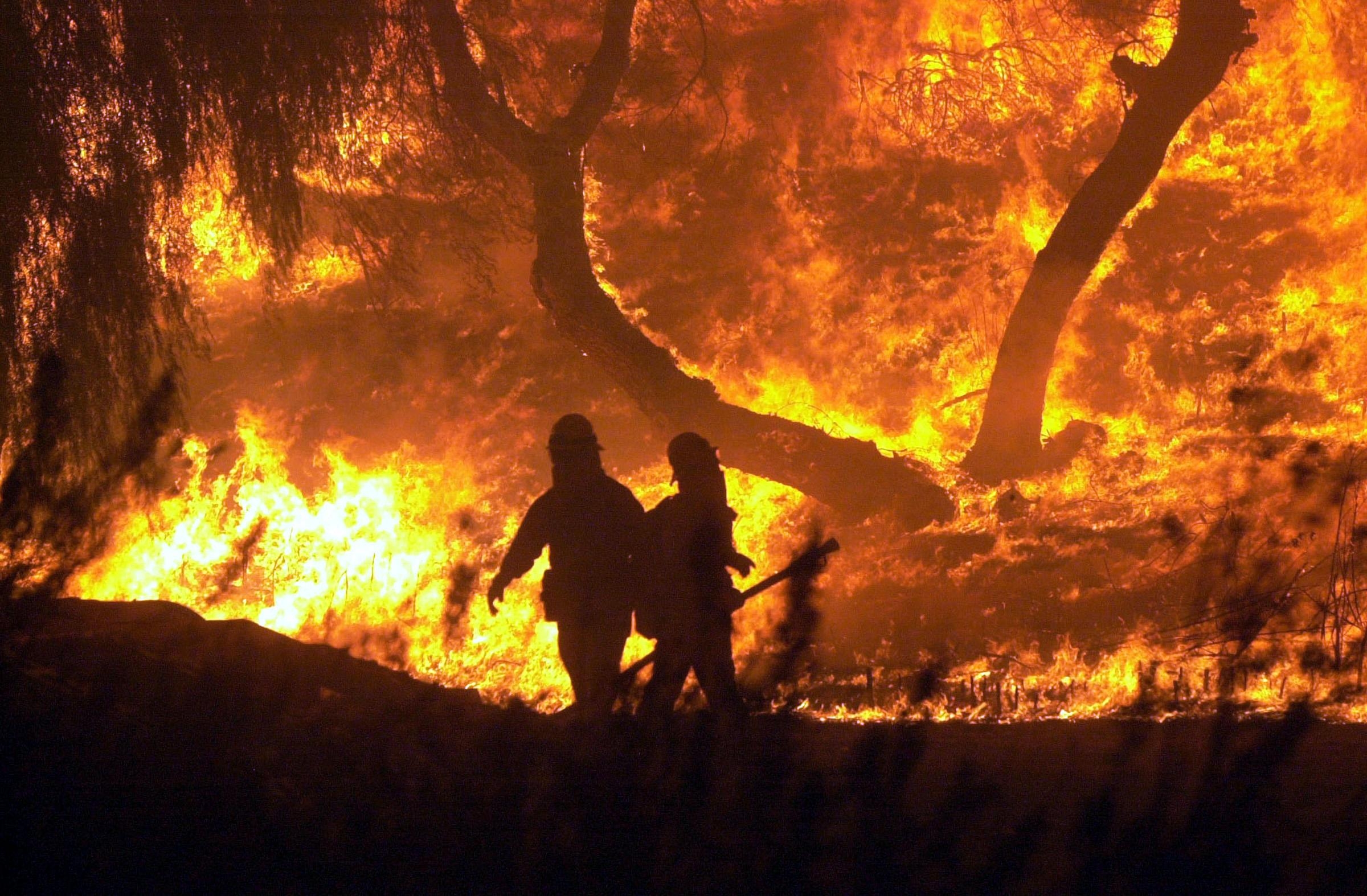 Piromani in azione. E l’Italia brucia da Nord a Sud
