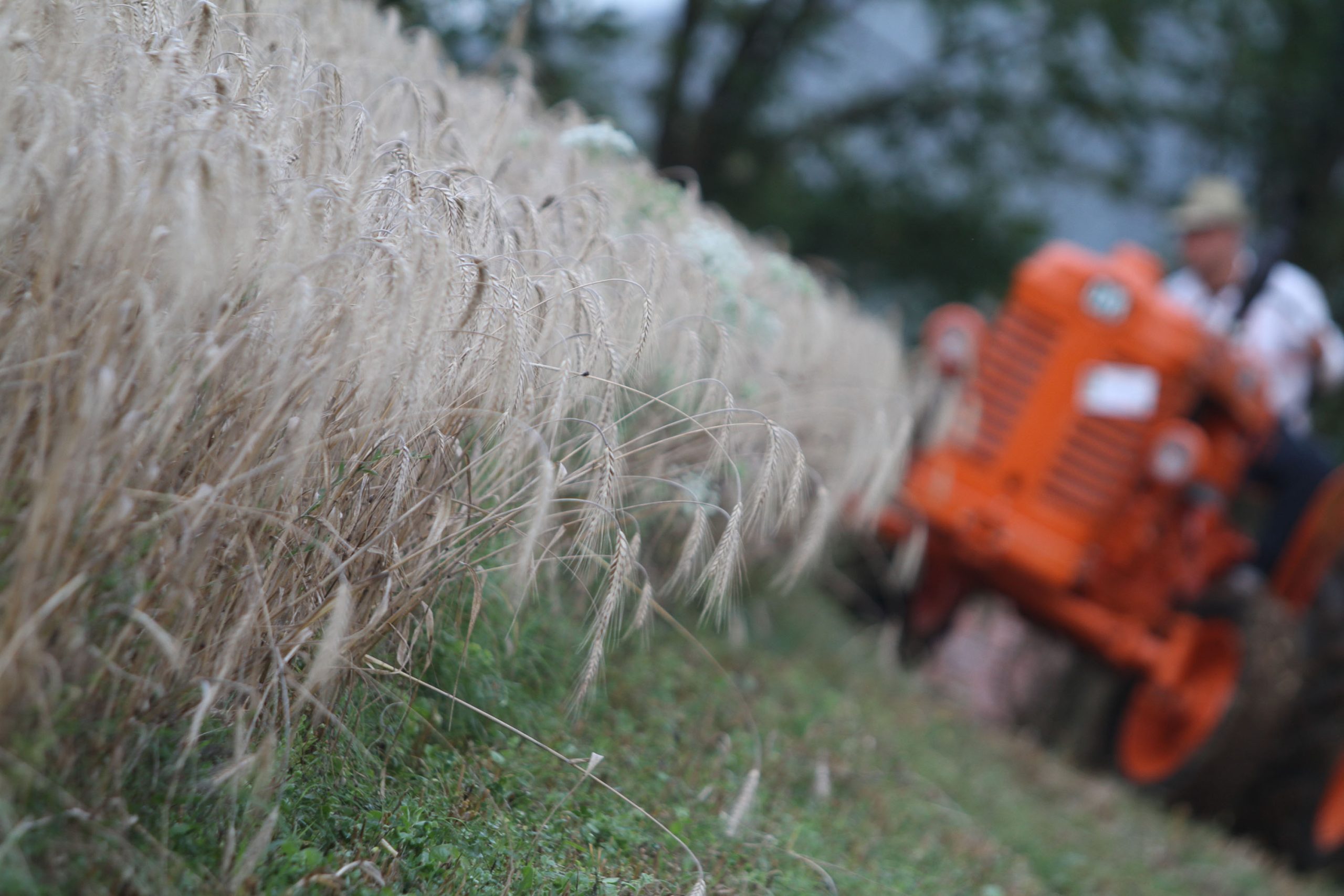 Agricoltura piegata dalla siccità: un miliardo di danni