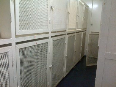 In traghetto con i cani senza però i servizi necessari