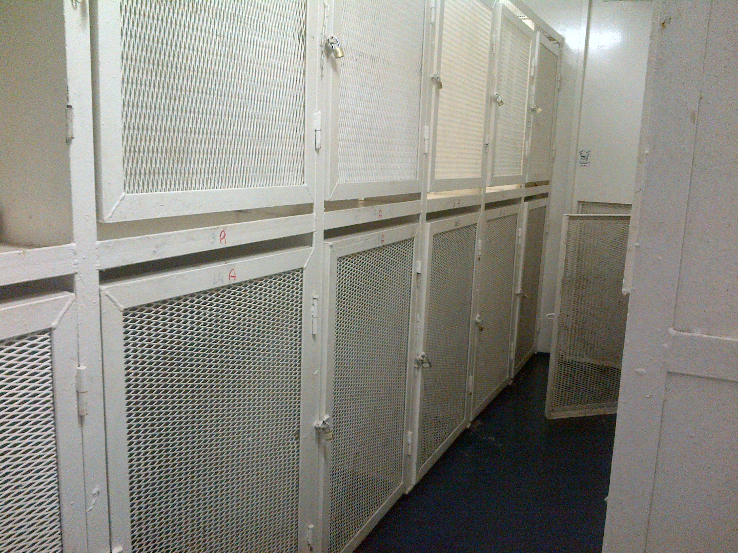 In traghetto con i cani senza però i servizi necessari