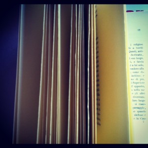 Con chi cava lor sangue, un esatto silenzio. Sadiani e trappisti di tutti i paesi, unitevi!