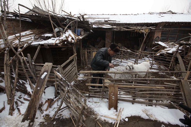 Dopo lo scandalo della melamina, i cinesi allevano i figli con “latte fatto in casa” Dopo lo scandalo della melamina, i cinesi allevano i figli con “latte fatto in casa”