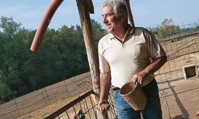 Fisco. Noi cittadini perseguitati