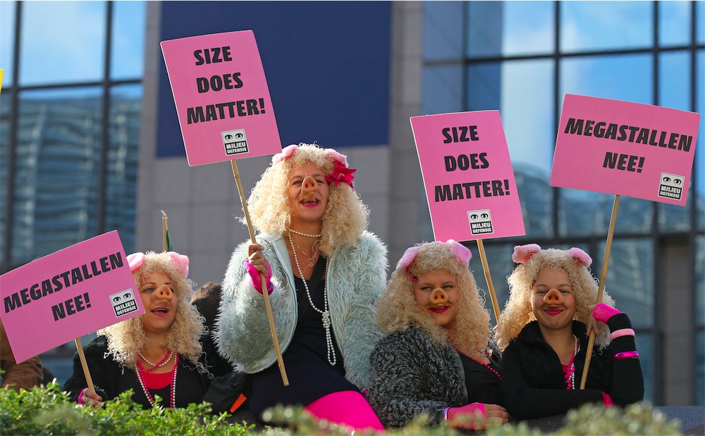 Foto: cose strane dal mondo Foto: cose strane dal mondo