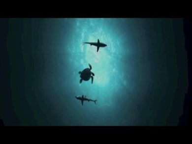 Sea Rex: ecco i dinosauri marini in 3D