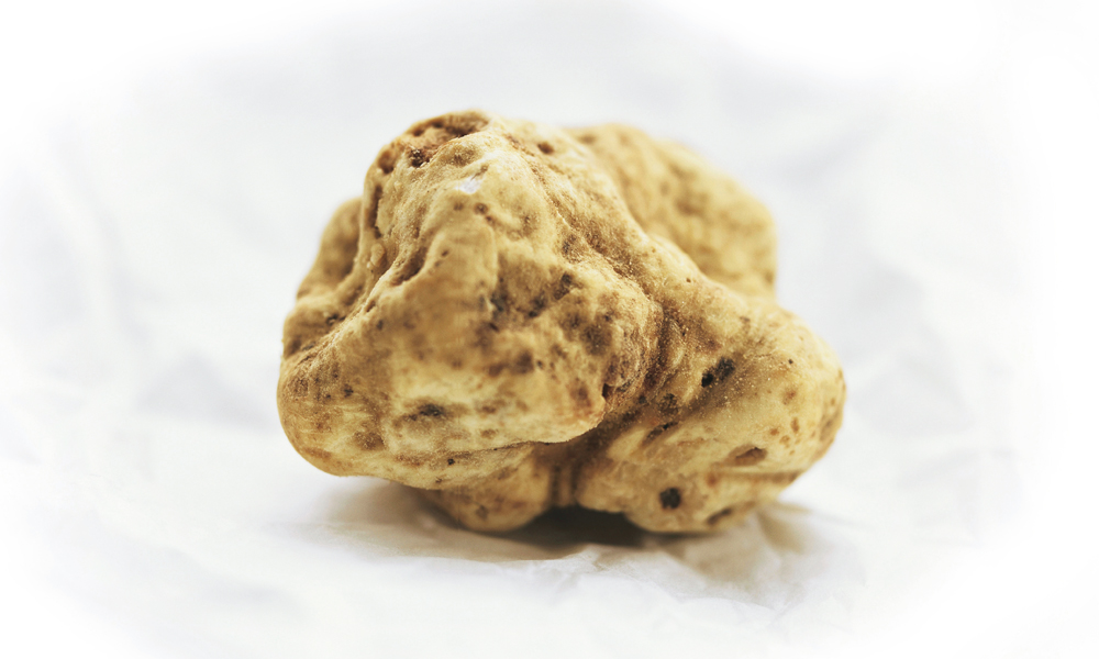 Tartufo quel piacere così vicino al sesso Tartufo quel piacere così vicino al sesso