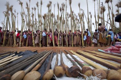 Reed Dance: quando le donne sono protagoniste della danza Zulu