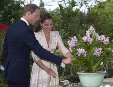 Kate di nuovo incinta? Lasciamola in pace!