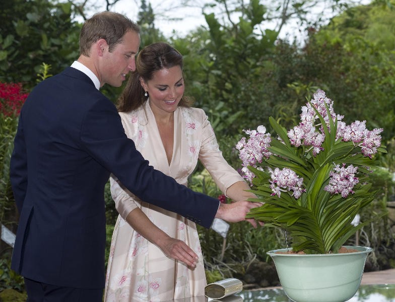 Kate di nuovo incinta? Lasciamola in pace! Kate di nuovo incinta? Lasciamola in pace!
