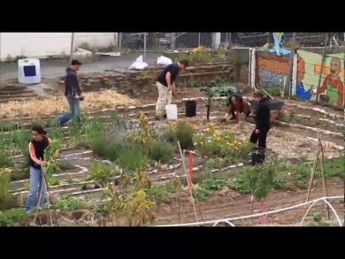 “Growing Cities”, il road movie tra gli orti urbani – trailer