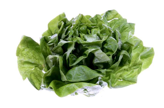 “La rivoluzione della lattuga”, il libro che racconta la nuova democrazia del cibo “La rivoluzione della lattuga”, il libro che racconta la nuova democrazia del cibo