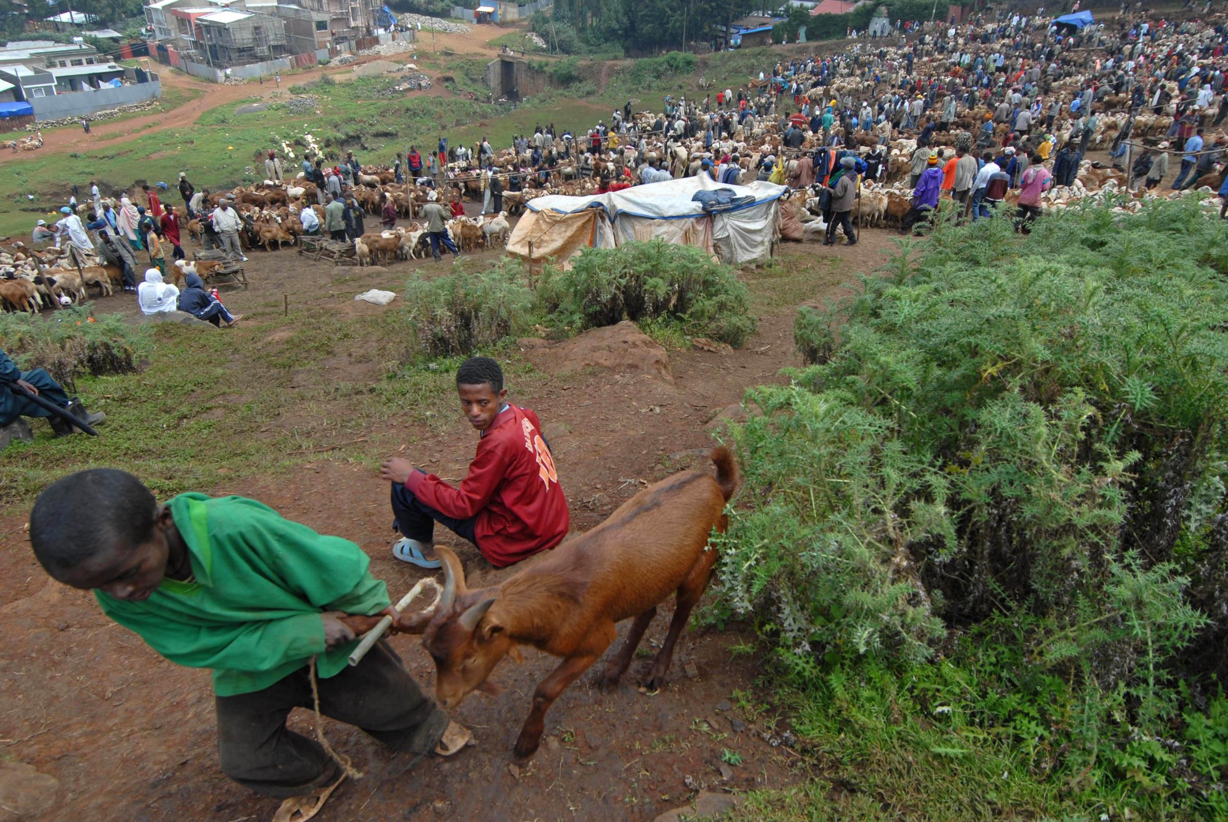Contadino etiope fa causa alla cooperazione britannica