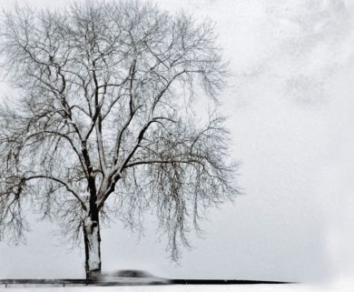 “La puntualità del destino”, un thriller di provincia