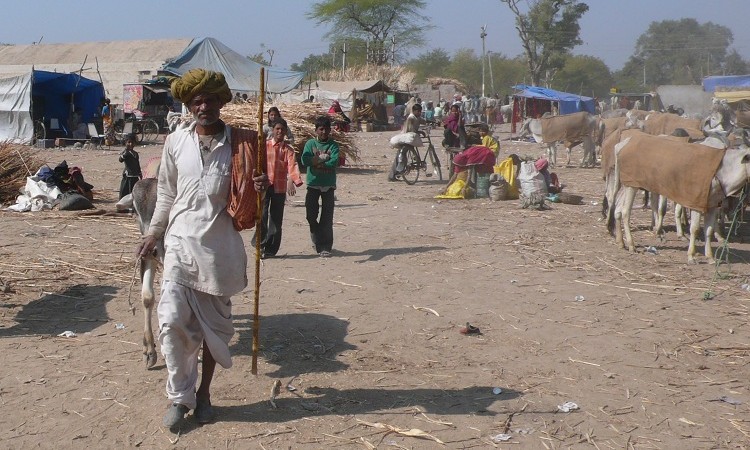 L’india non diventerà mai una grande potenza economica. Ecco perché L’india non diventerà mai una grande potenza economica. Ecco perché