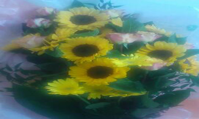 E’ deciso: servono le primarie per eleggere il ”fidanzato Premier” E’ deciso: servono le primarie per eleggere il ”fidanzato Premier”