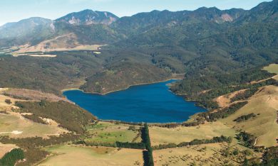 James Cameron: ho comprato Pandora in Nuova Zelanda