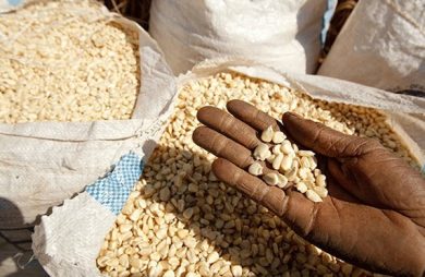 World Food Day: il cibo c’è, mancano i mezzi per comprarlo