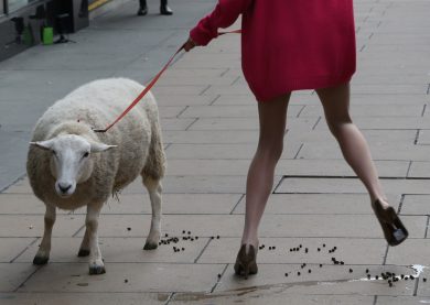 Le foto più belle della settimana – 6/12 ottobre