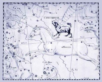 «I nostri sogni sono collegati tra loro». Il petto di Kafka e i bordelli di Adorno