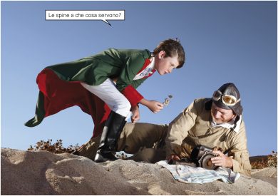 Breve indagine sul fotoromanzo