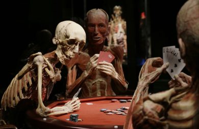 Body Worlds: il corpo umano in mostra a Milano