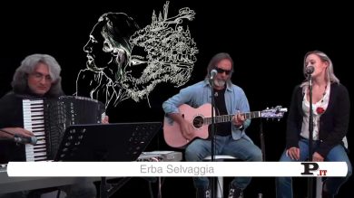 Marco Ferradini a Panorama Unplugged: Erba selvaggia e Albergo a ore