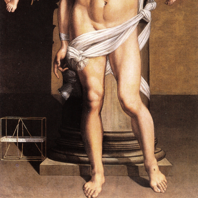 Liberiamo gli insetti dalle nostre metafore: le mosche marxiste di Malaparte