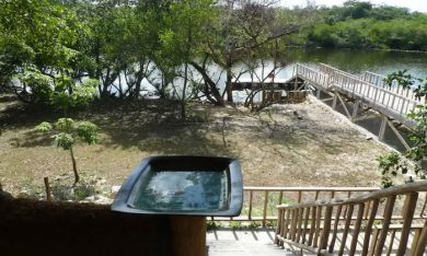 John McAfee: da re degli antivirus a ricercato per omicidio?