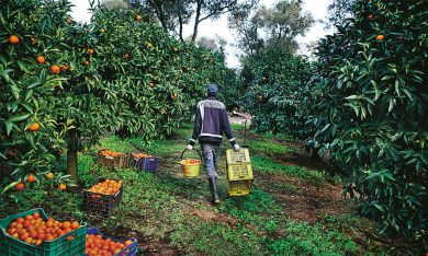 Immigrati. Rosarno, torna lo spettro della rivolta