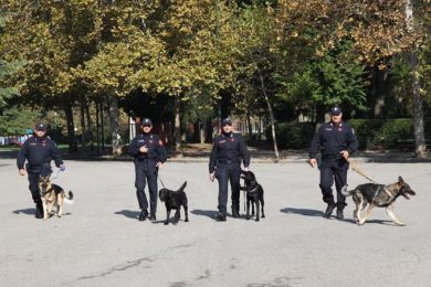 I Rex d’Italia? Soppressi dalla spending review