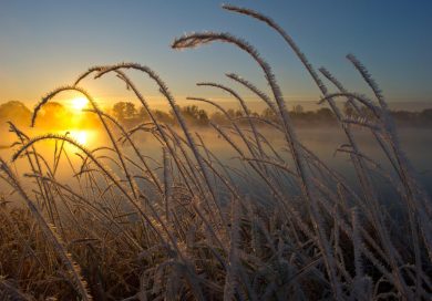 Le foto più belle della settimana – 27 ottobre/2 novembre