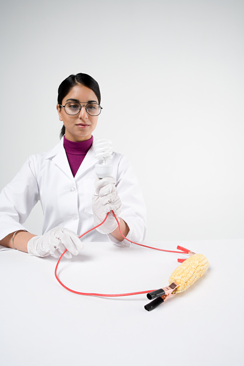 I libri più belli del 2012: la scienza di tutti i giorni I libri più belli del 2012: la scienza di tutti i giorni