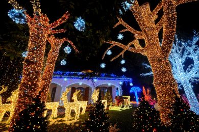 Le foto più belle della settimana – 14/20 dicembre