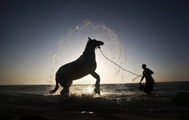 Le foto più belle del 2012 – 2/3