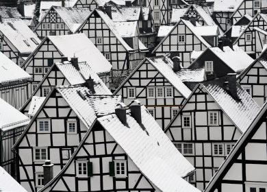 Le foto più belle della settimana – 30 novembre/6 dicembre